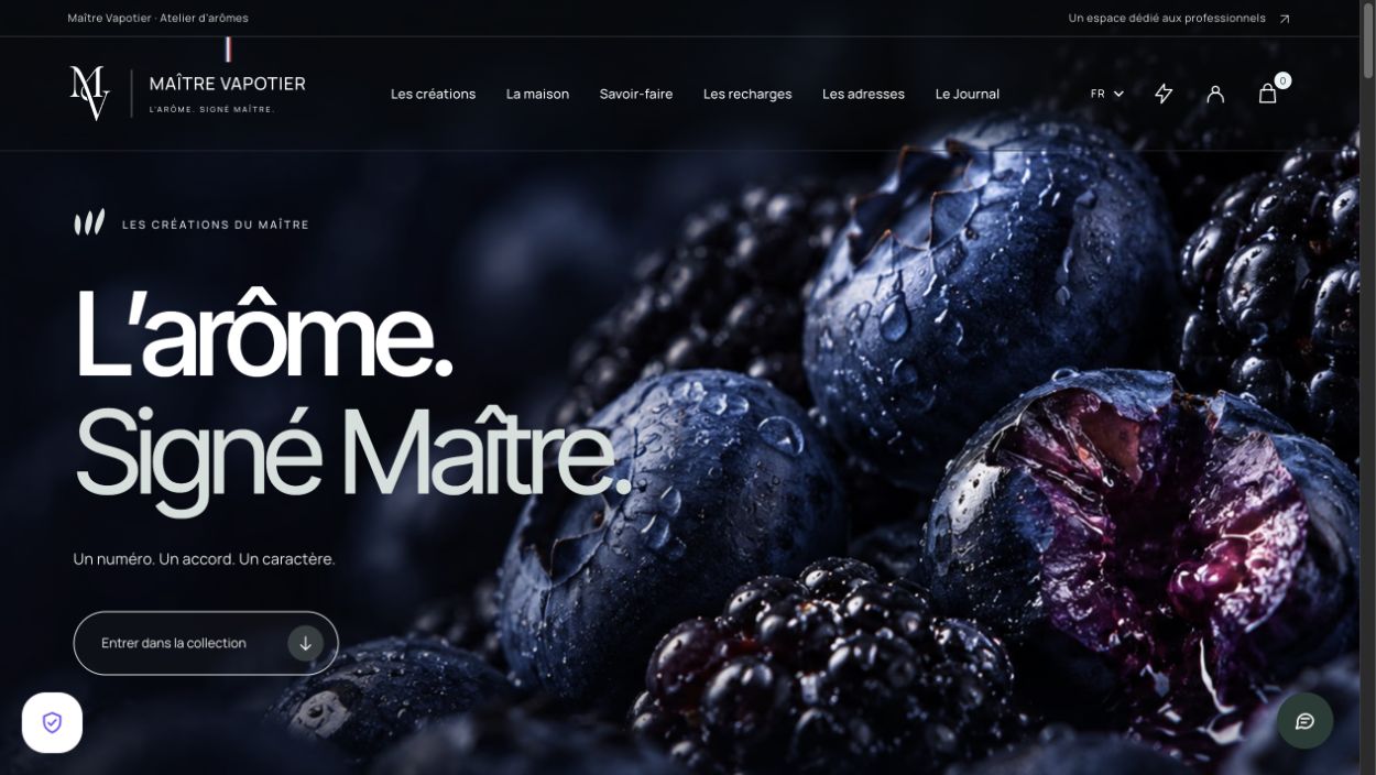 Aperçu de la page publique Maître Vapotier